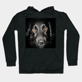 Doggo Hoodie